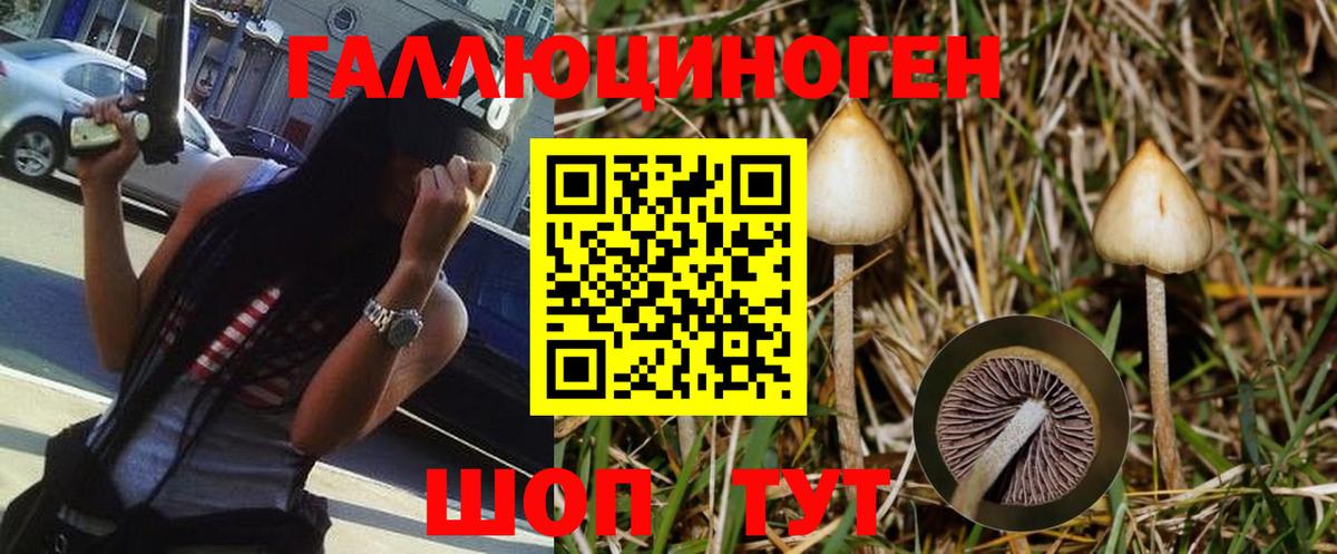 Псилоцибиновые грибы Magic Shrooms  Вход с VPN  Галлюциногенные грибы прущие грибы  Заречный 